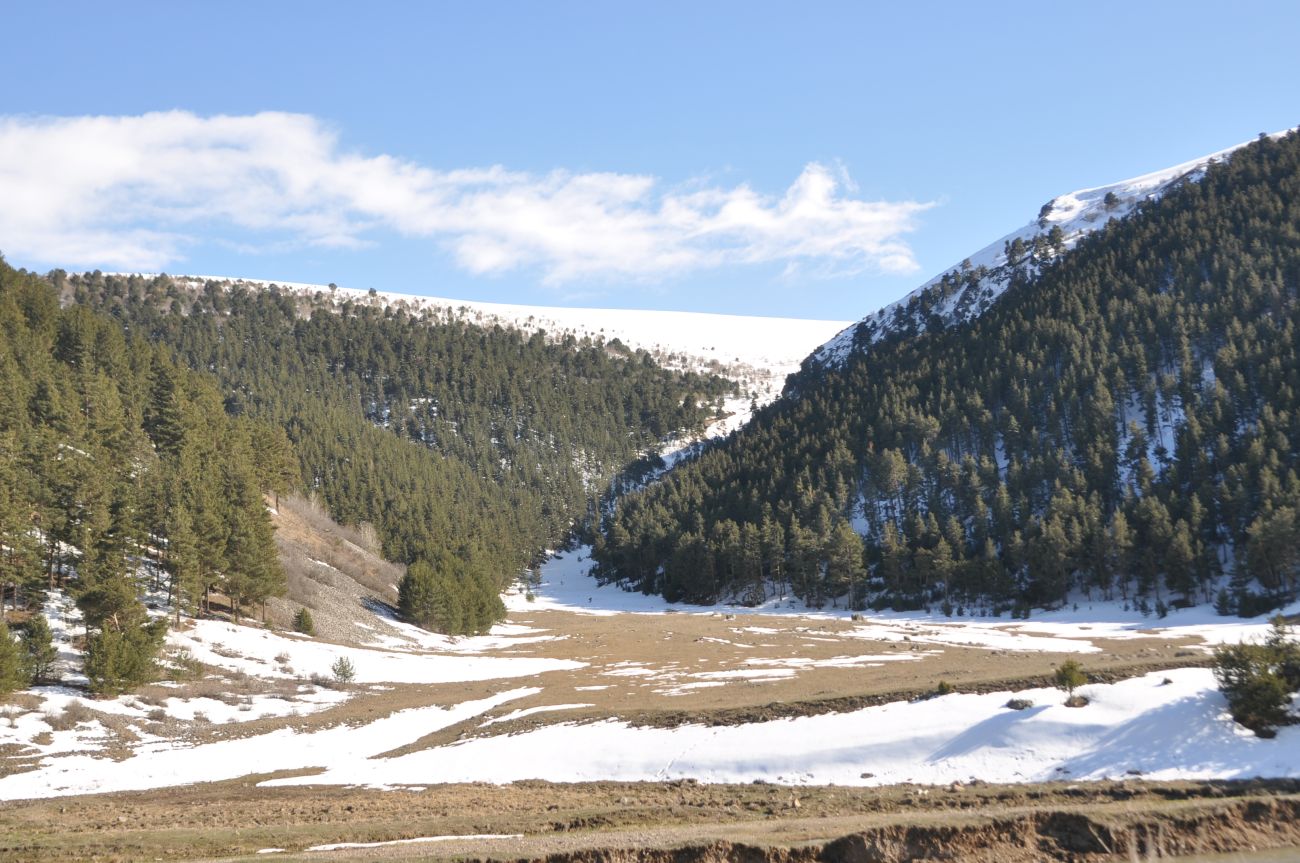 Окрестности верховьев реки Кура, image of landscape/habitat.