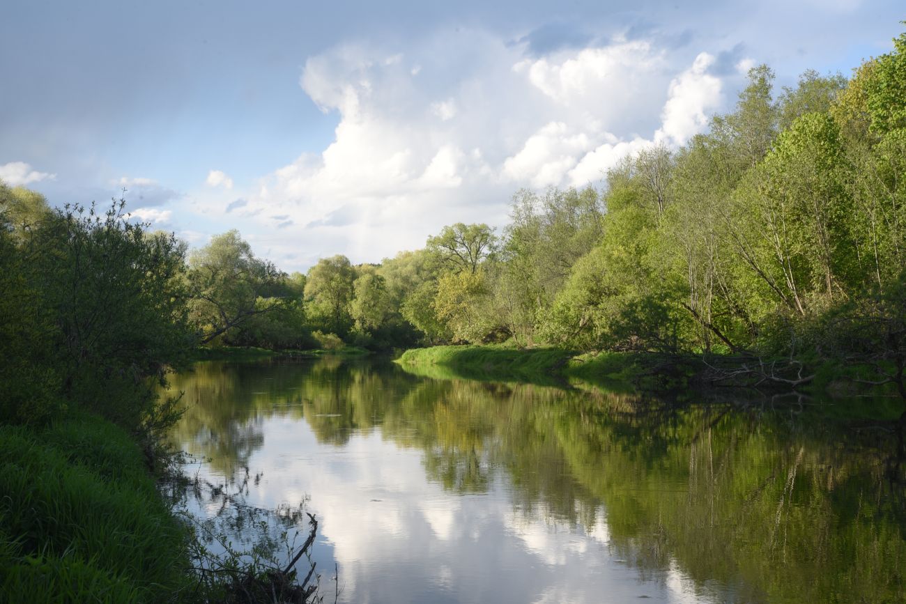 File:Protva north of highway 14.jpg - Wikimedia Commons