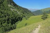 Image of landscape