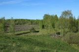 Image of landscape