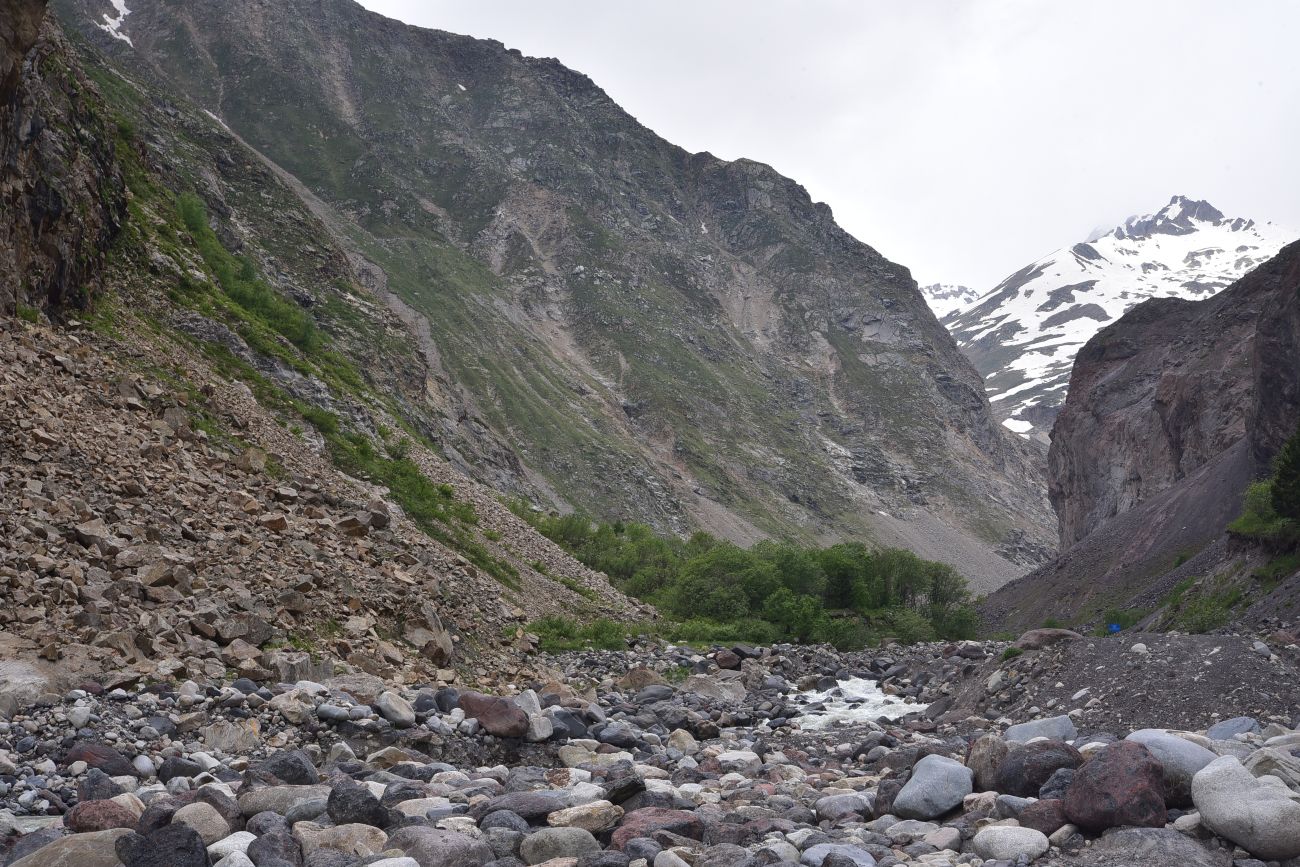Долина реки Азау, image of landscape/habitat.