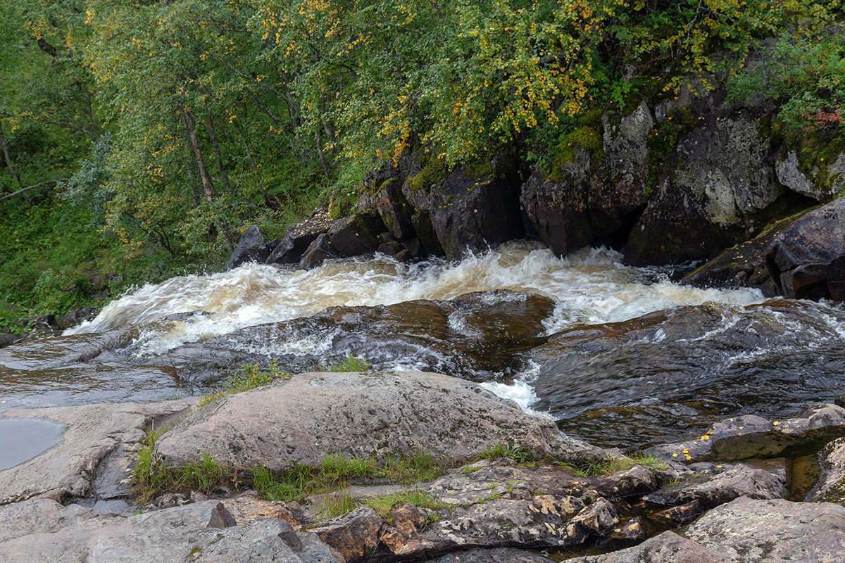 Лавна, image of landscape/habitat.