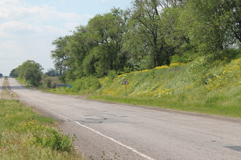 Автодорога Н-11 у с. Новоселовка, image of landscape/habitat.