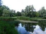 Голосеевский парк, image of landscape/habitat.