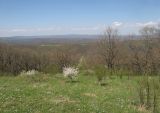 Гора Рябкова, image of landscape/habitat.