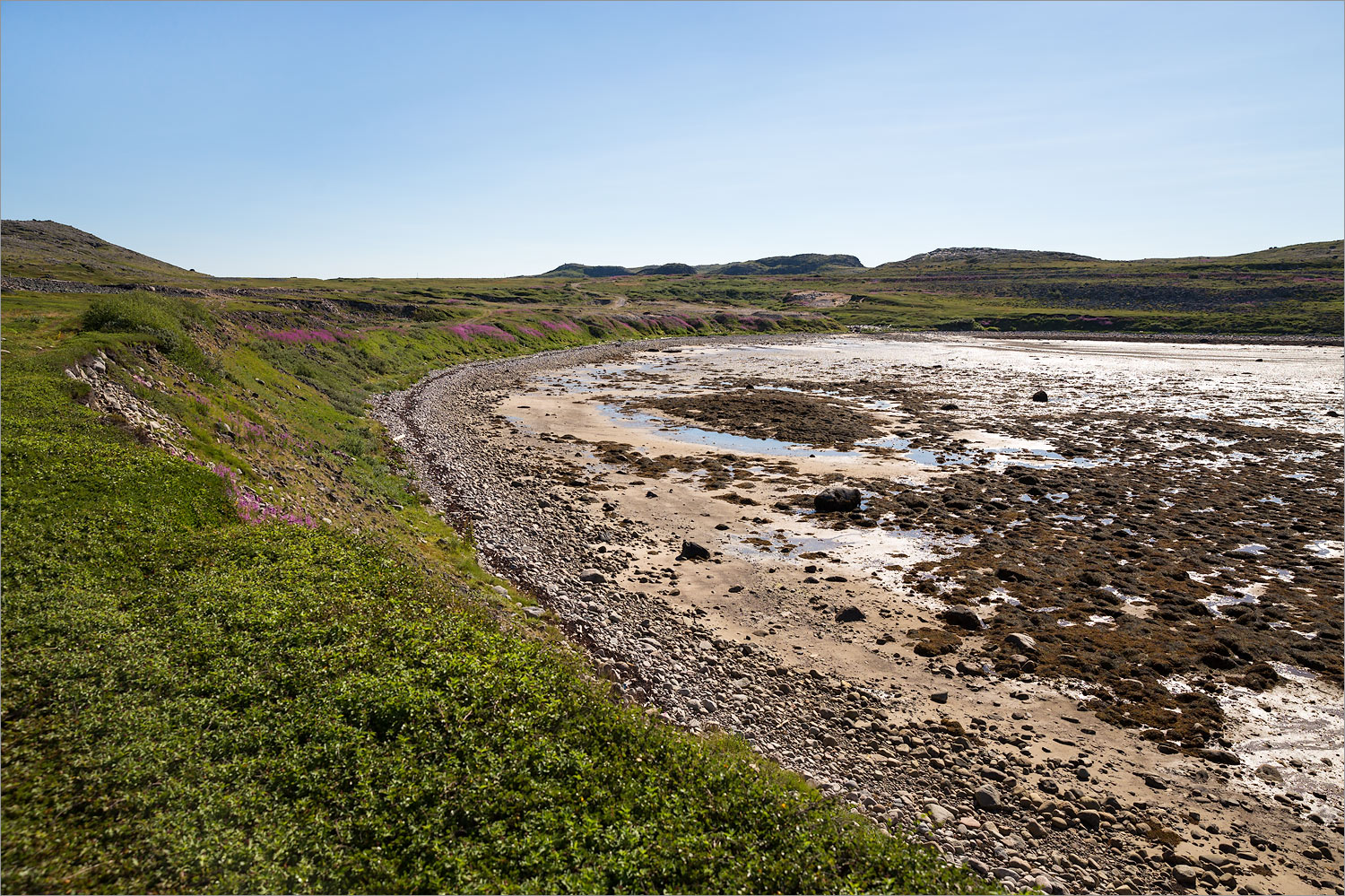 Дальние Зеленцы, image of landscape/habitat.