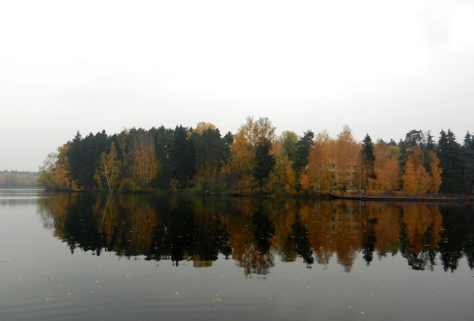 Озеро Луково, изображение ландшафта.
