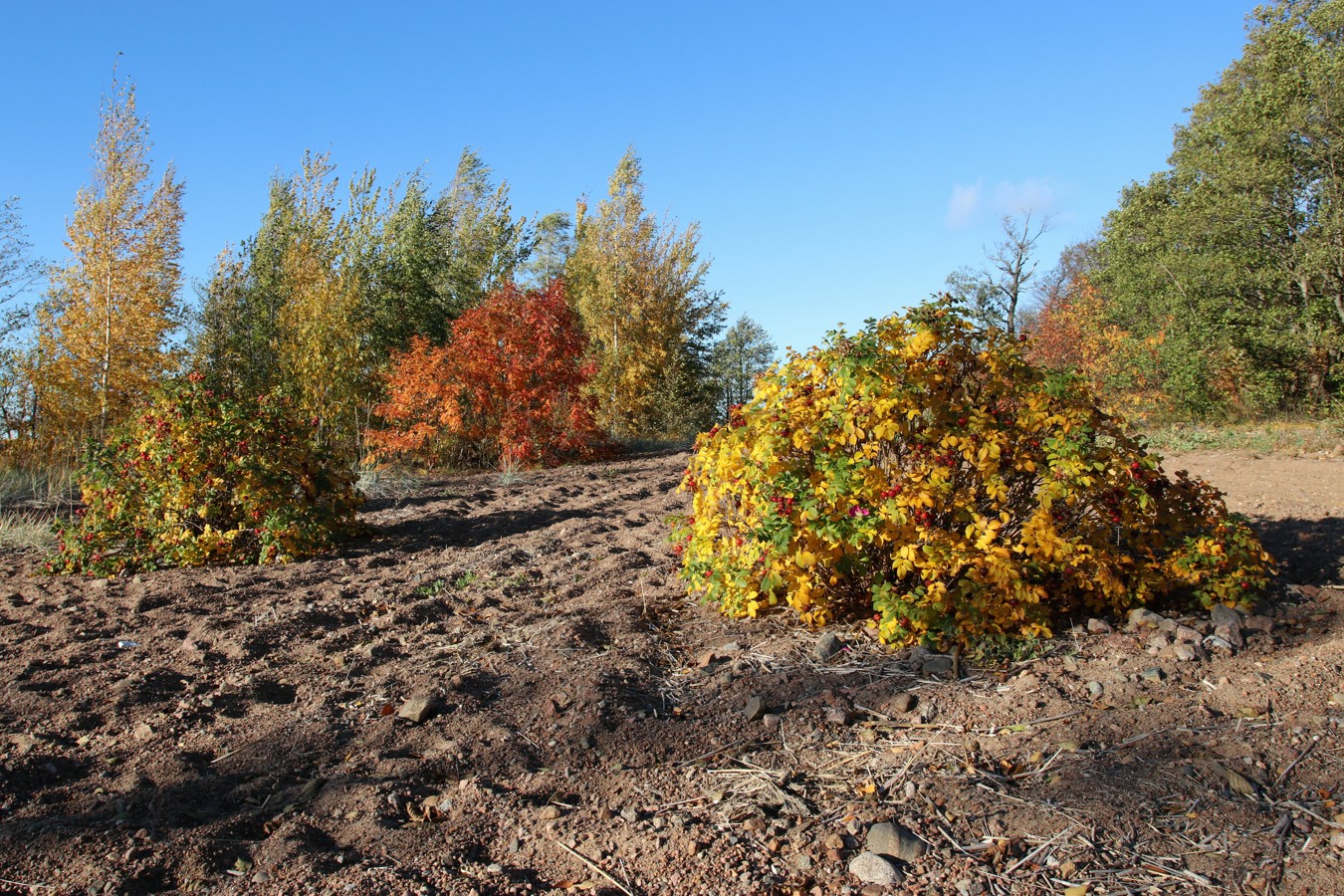 Каравалдай, image of landscape/habitat.