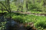 Ламошка, image of landscape/habitat.