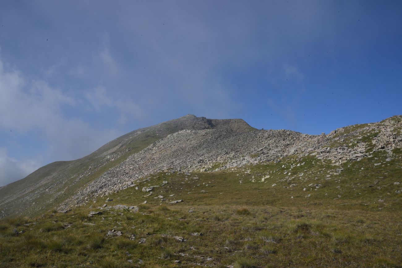 5 км от Цумандинского перевала, image of landscape/habitat.