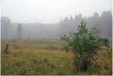 Image of landscape