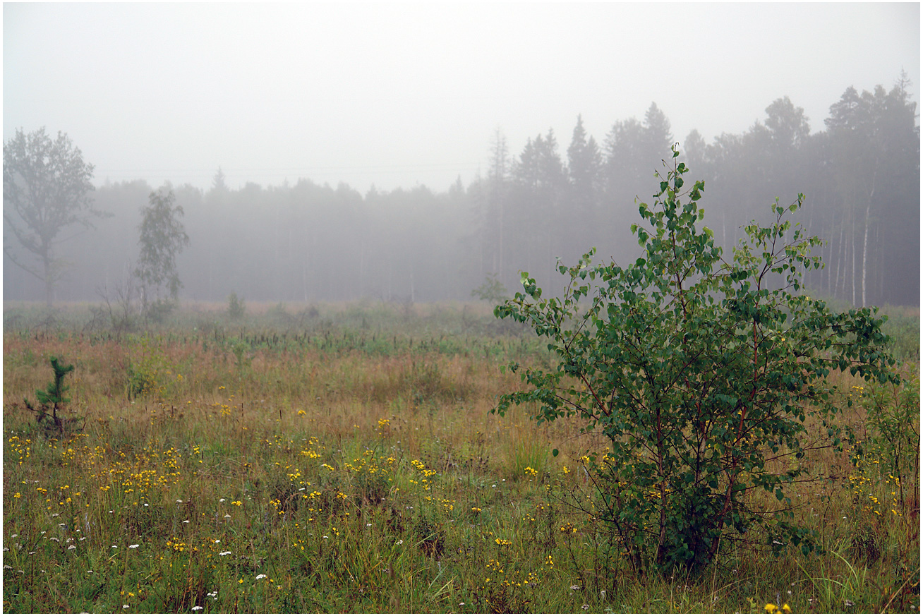 Окрестности Хрипани, image of landscape/habitat.