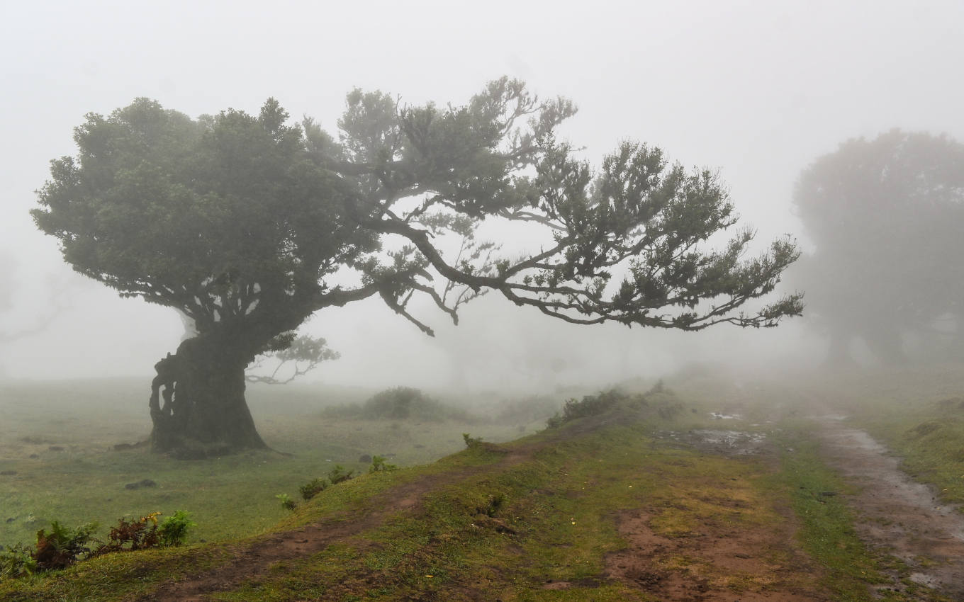 Национальный парк "Фанал", изображение ландшафта.