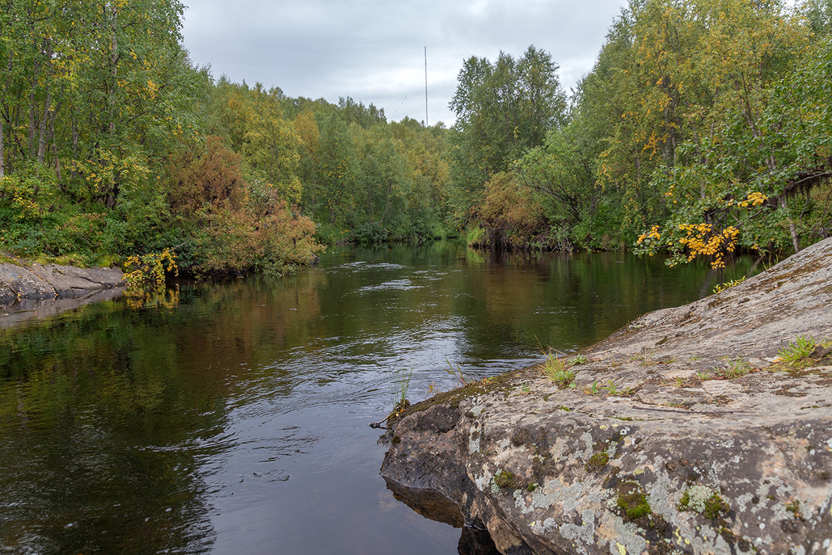 Лавна, image of landscape/habitat.