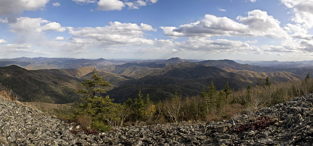 Южный Сихотэ-Алинь, image of landscape/habitat.