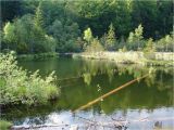 Сколевские Бескиды, image of landscape/habitat.