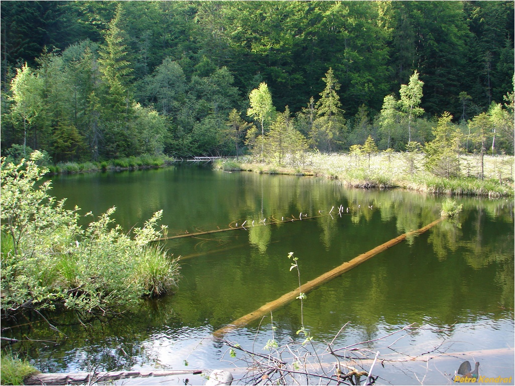 Сколевские Бескиды, image of landscape/habitat.