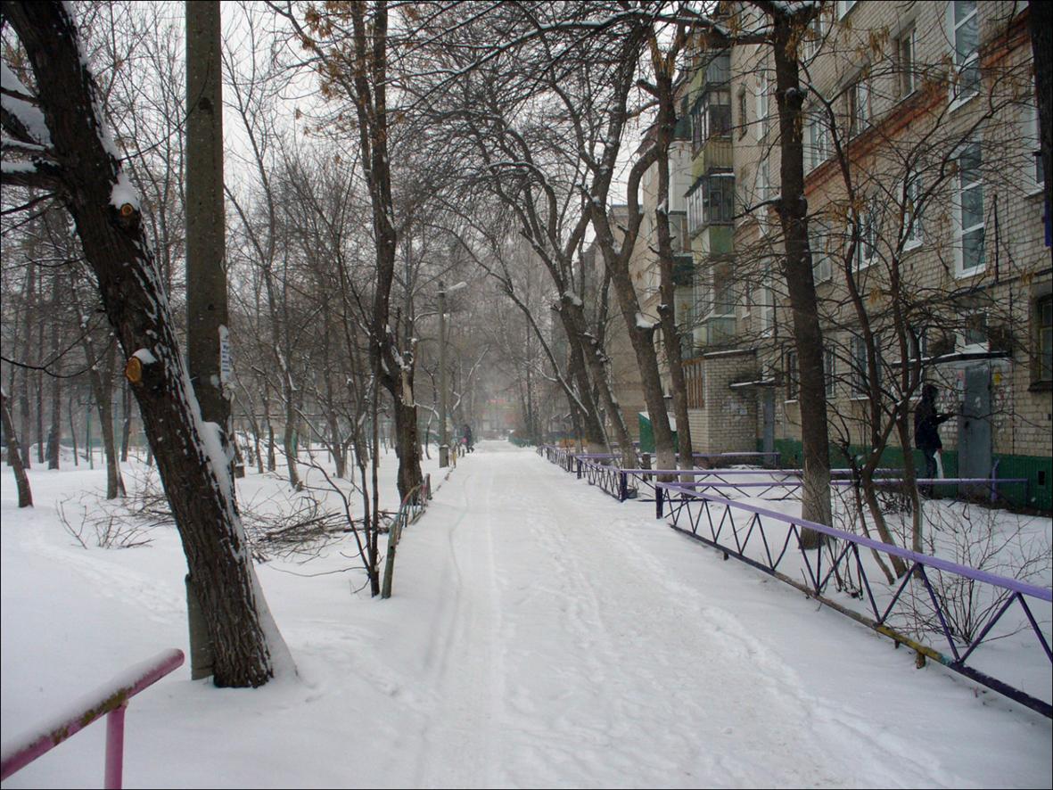 Верхняя Терраса и окрестности, image of landscape/habitat.