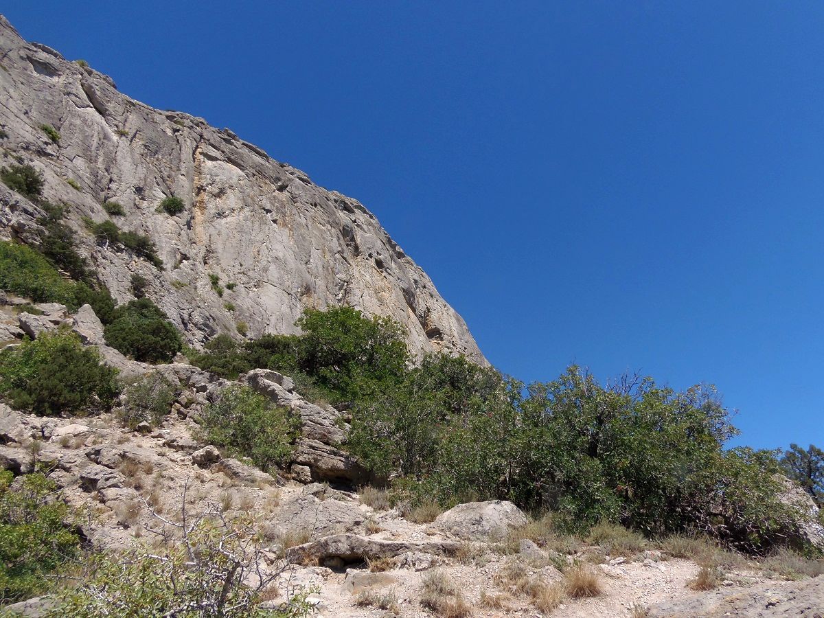 Тропа Голицына, image of landscape/habitat.