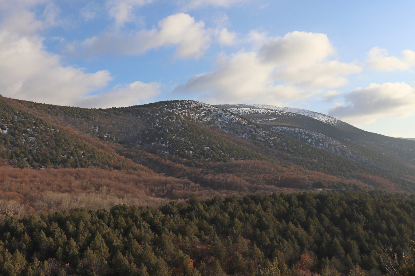 Ай-Петринская яйла, image of landscape/habitat.