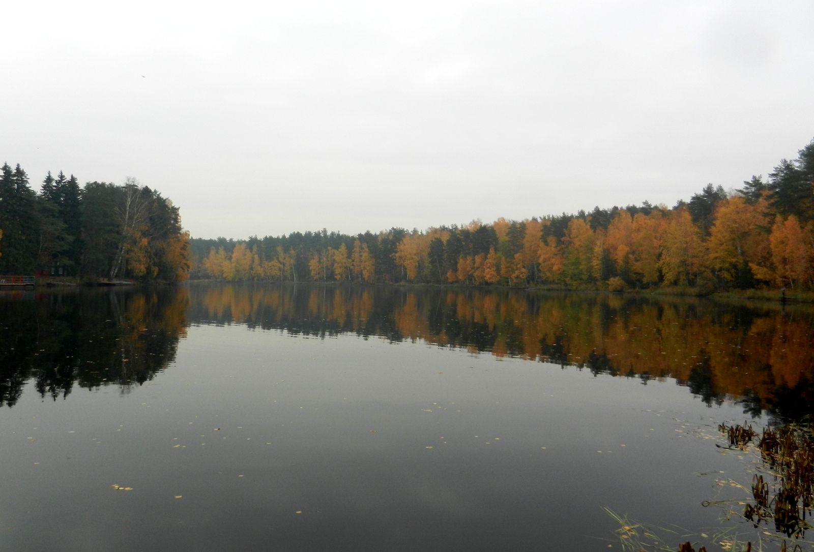 Озеро Луково, image of landscape/habitat.