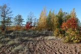 Шепелёвский маяк, image of landscape/habitat.