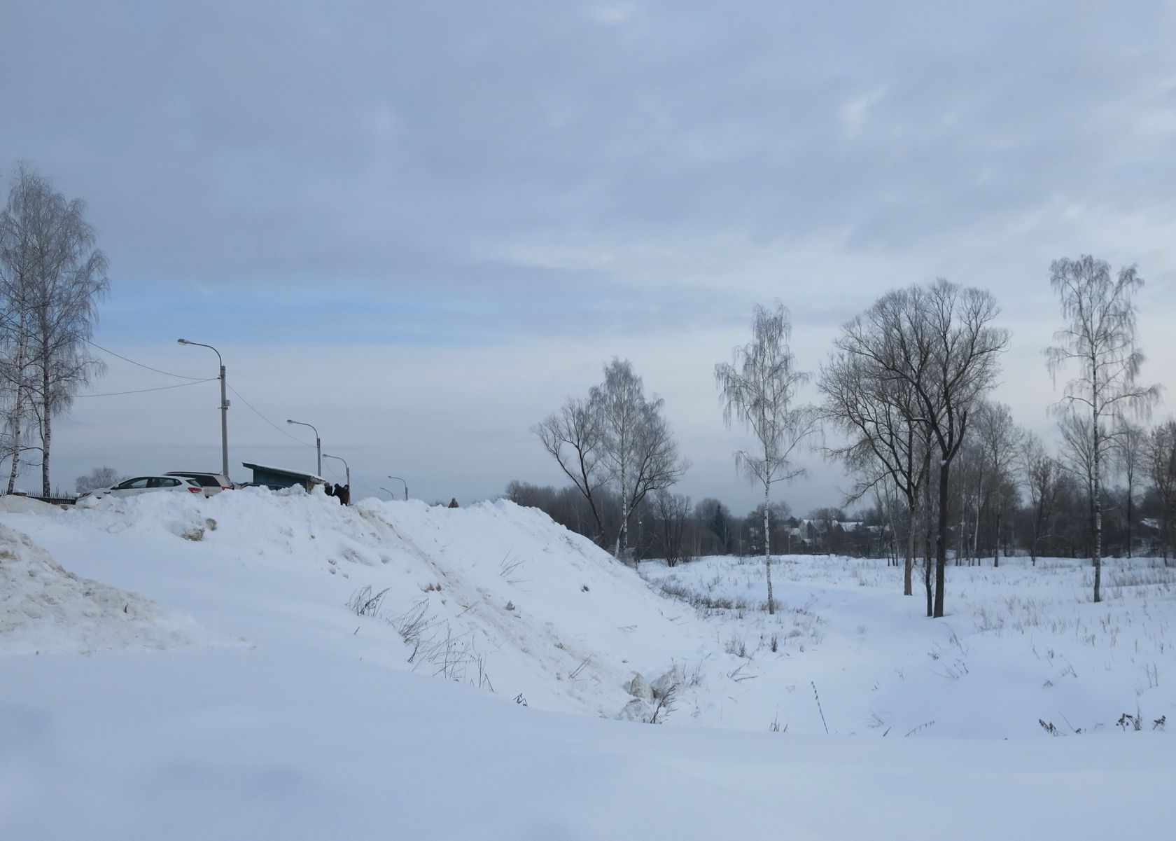 Лосино-Петровский и окрестности, image of landscape/habitat.