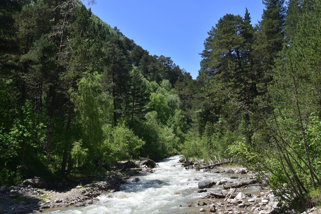 Долина реки Донгуз-Орун, image of landscape/habitat.