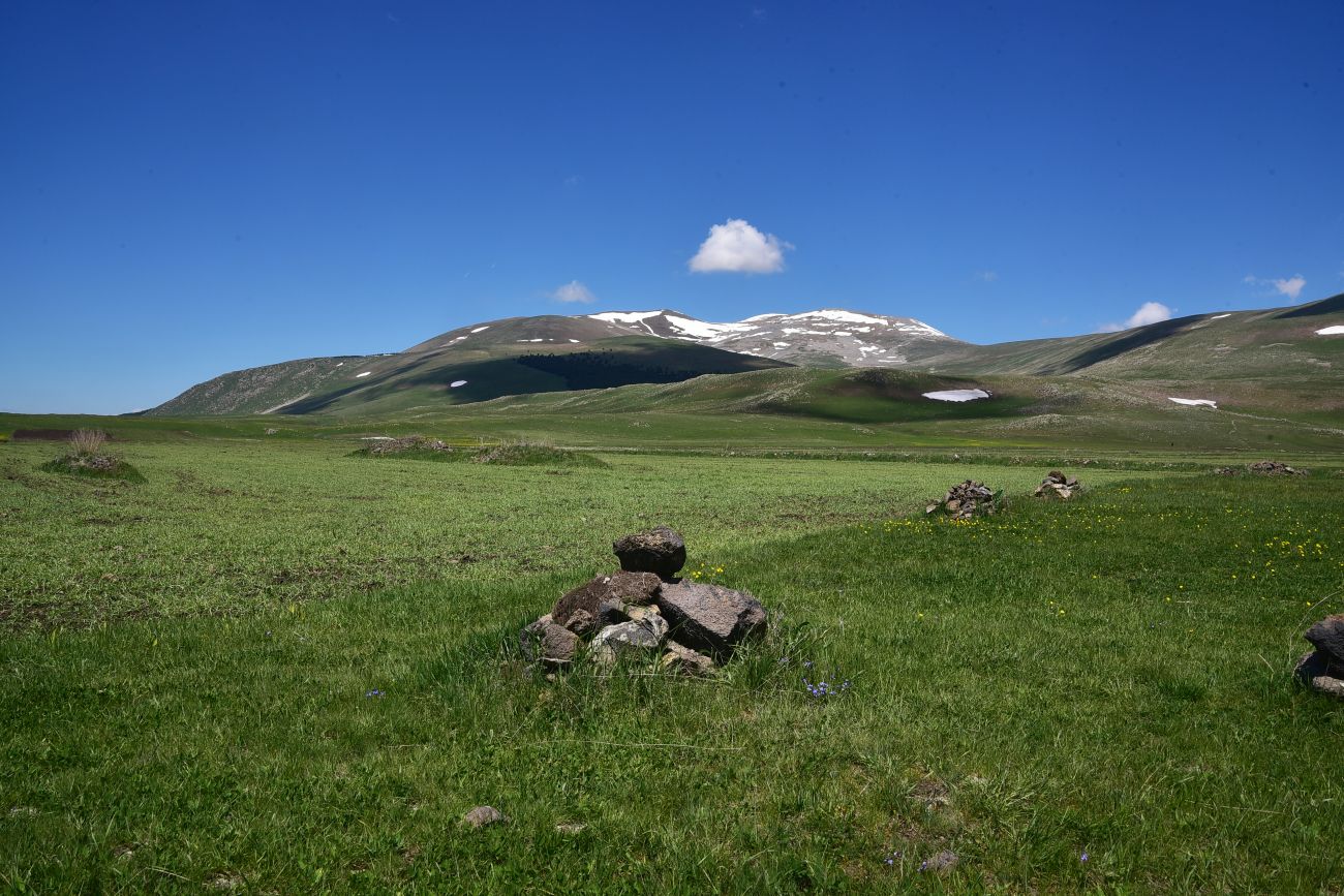 Окрестности села Гандзани, image of landscape/habitat.