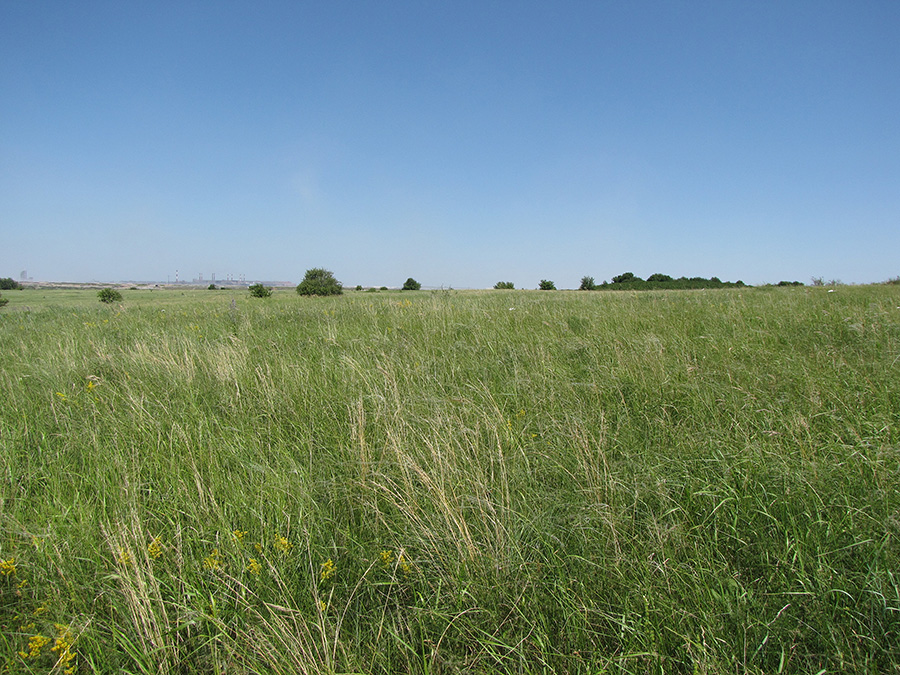 Дубровка, image of landscape/habitat.