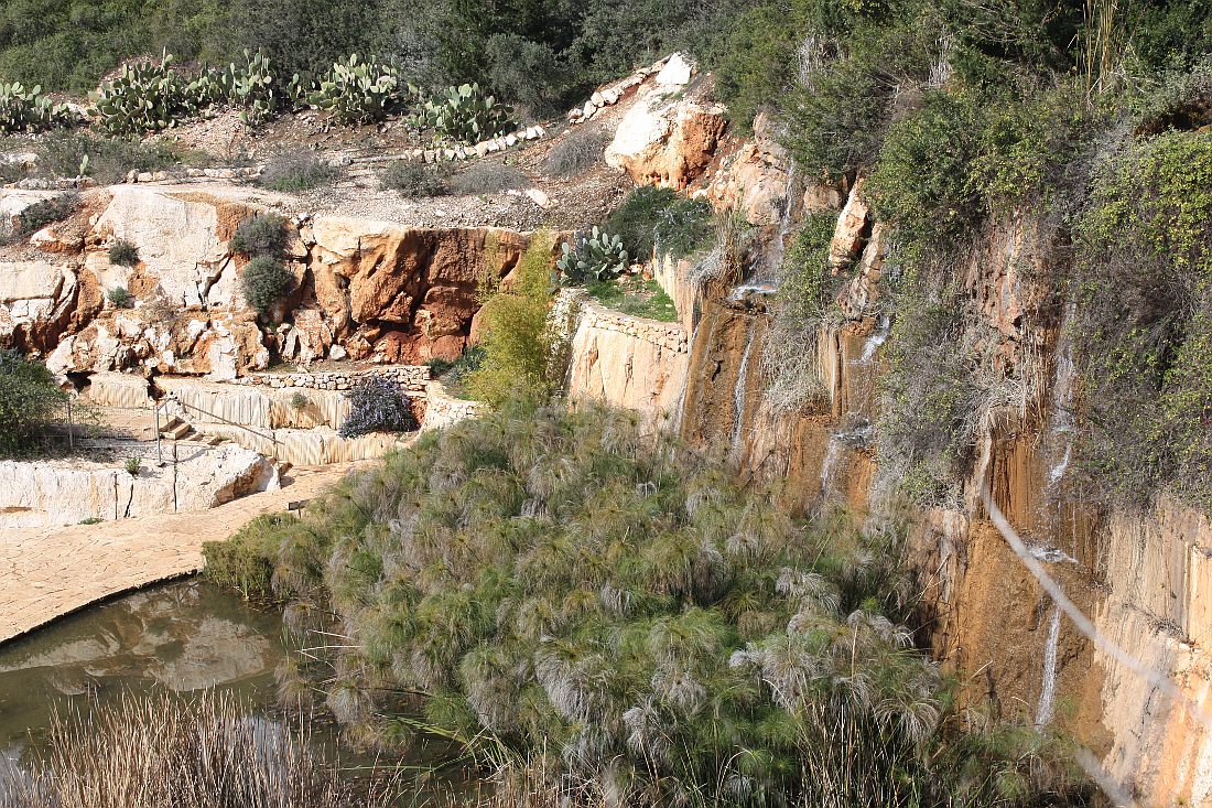 Кармиэль, image of landscape/habitat.