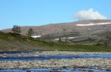 Большая Лагорта, image of landscape/habitat.