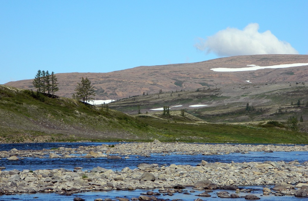 Большая Лагорта, image of landscape/habitat.