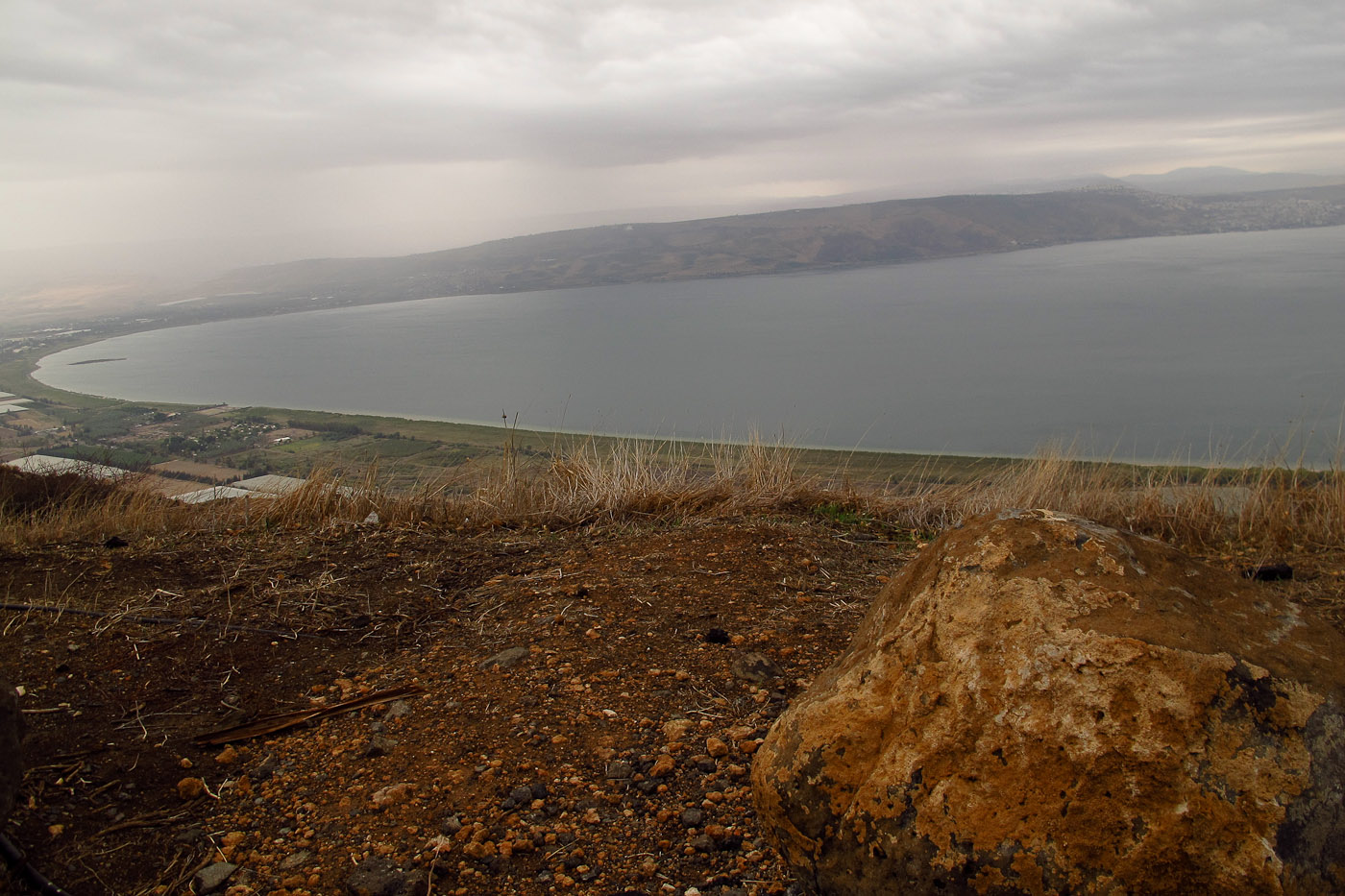 Генисаретское озеро (Кинерет), image of landscape/habitat.