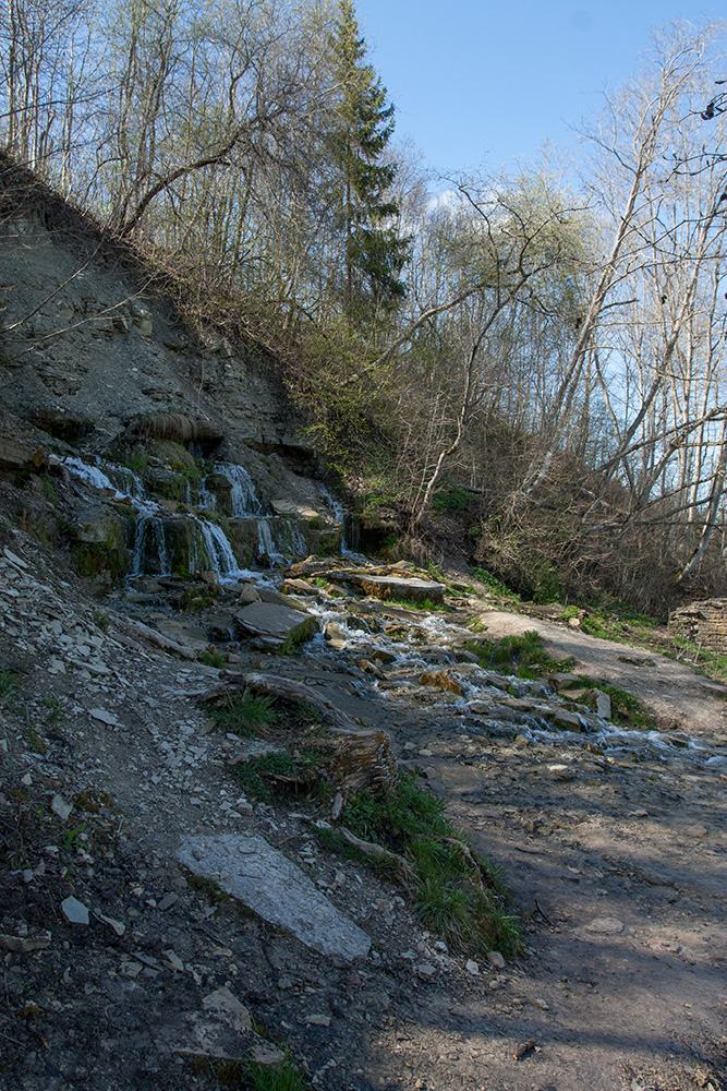 Изборско-Мальская долина, image of landscape/habitat.