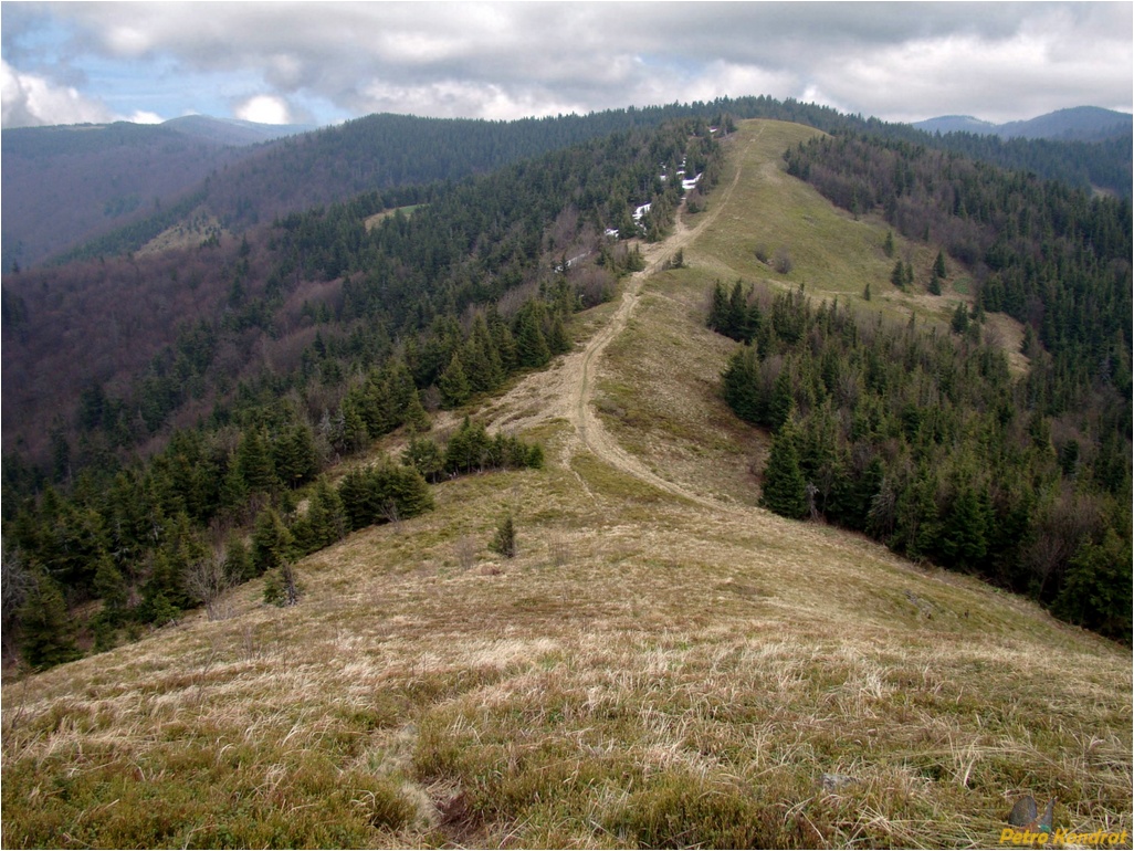 Сколевские Бескиды, image of landscape/habitat.