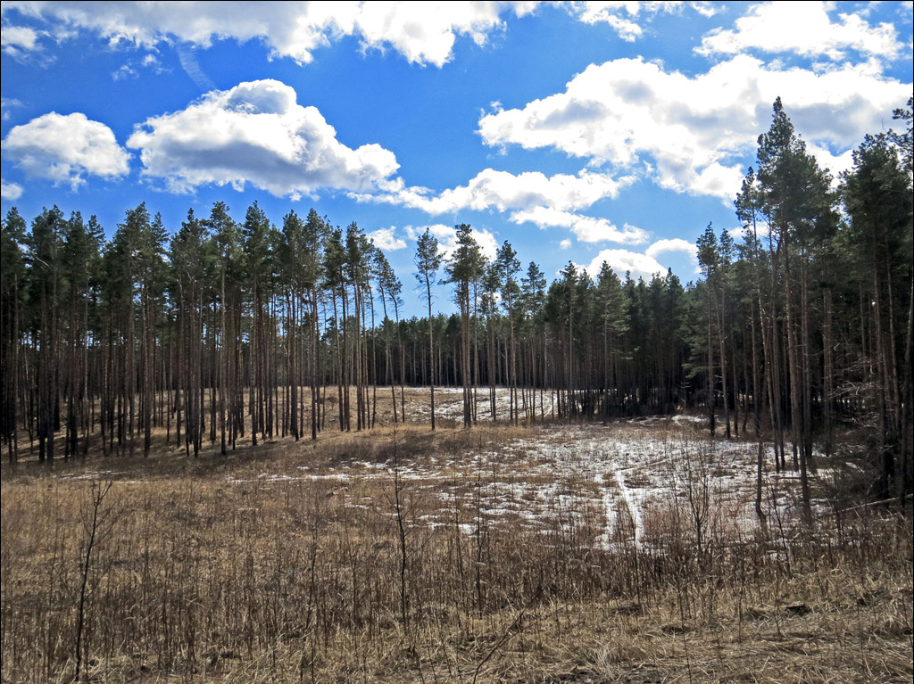 Верхняя Терраса и окрестности, image of landscape/habitat.