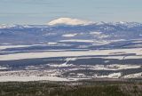 Окрестности села Рысакаево, image of landscape/habitat.