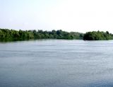 Image of landscape
