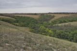 Image of landscape