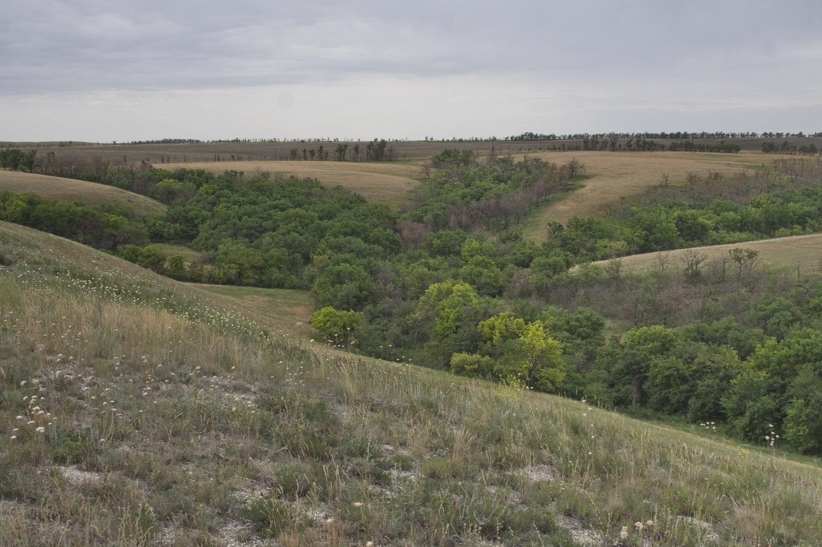 Полунино, image of landscape/habitat.