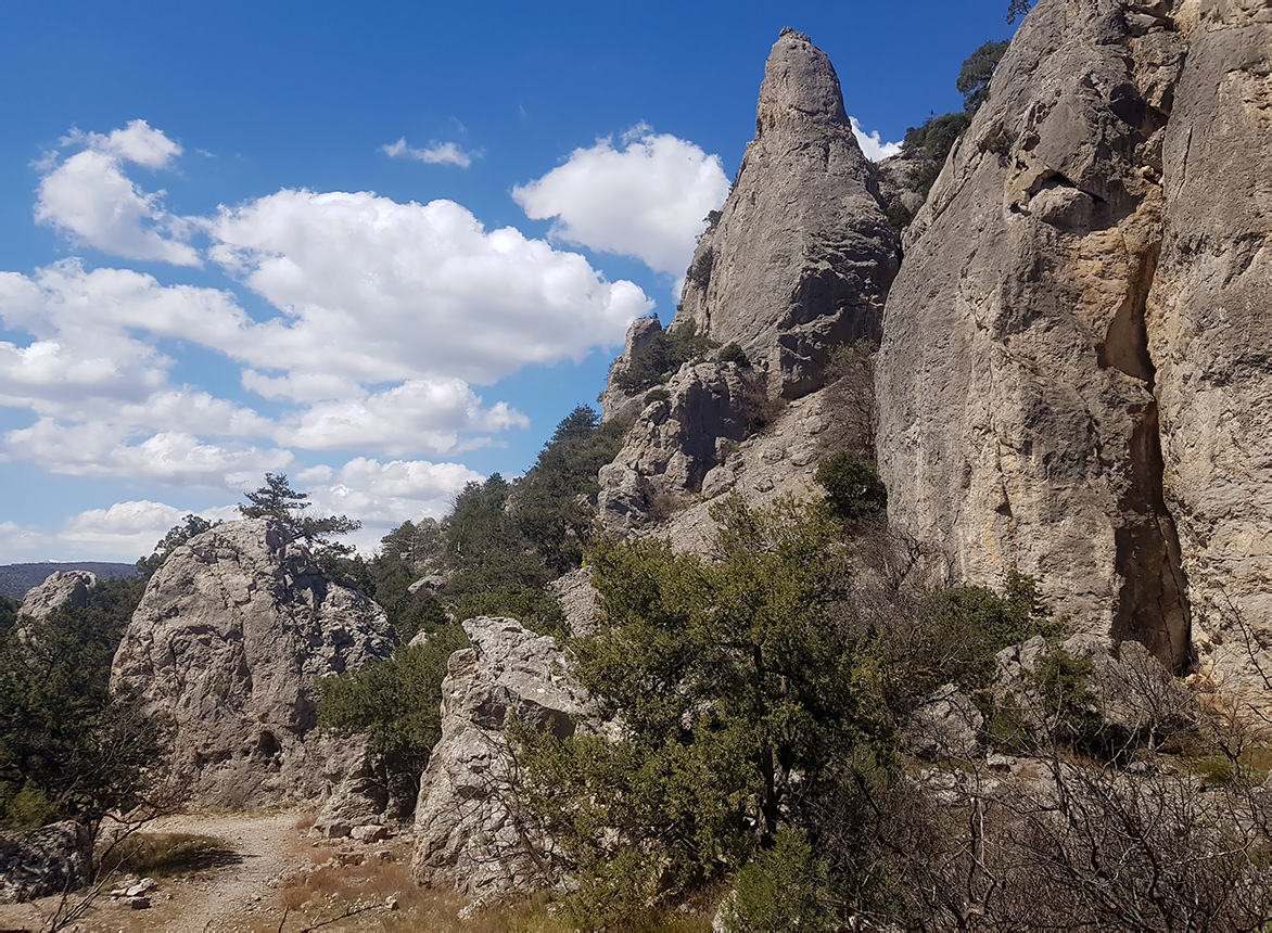 Караул-Оба, image of landscape/habitat.