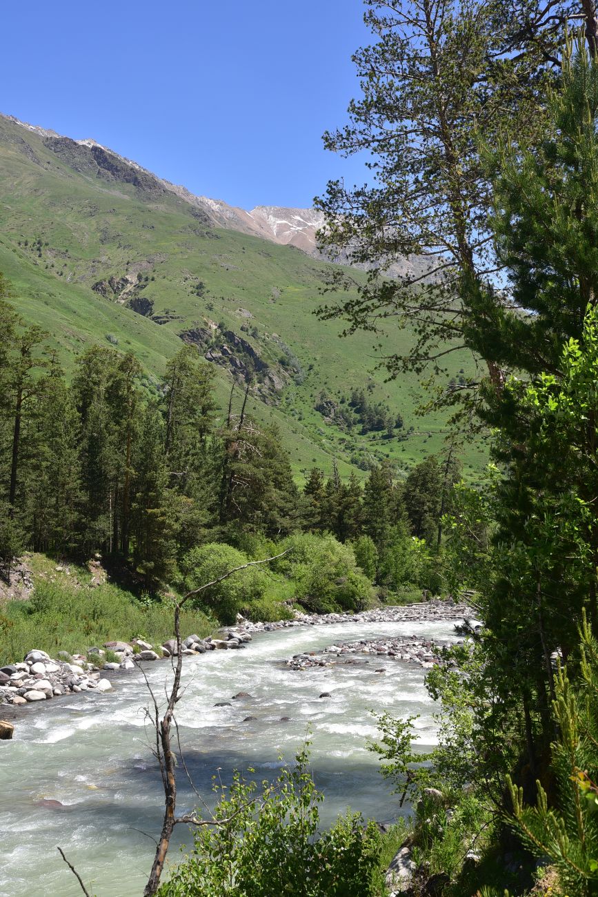 Стрелка Донгуз-Орун и Азау, image of landscape/habitat.