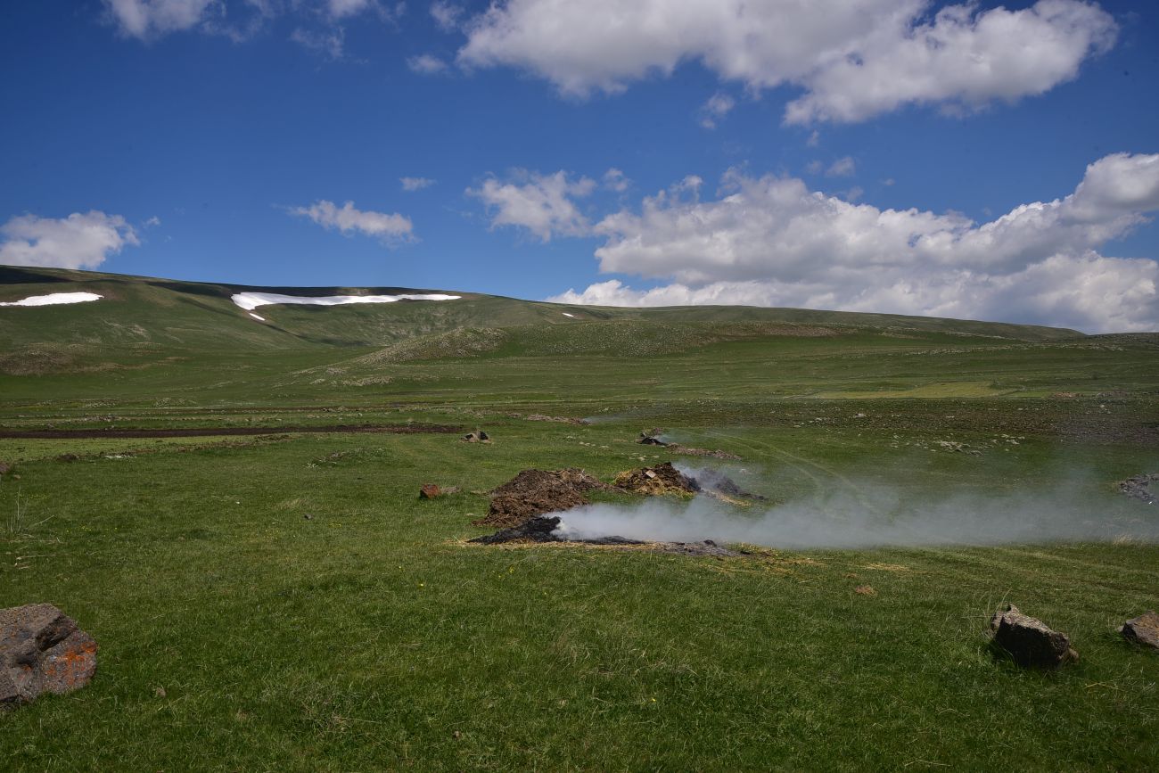 Окрестности села Гандзани, image of landscape/habitat.