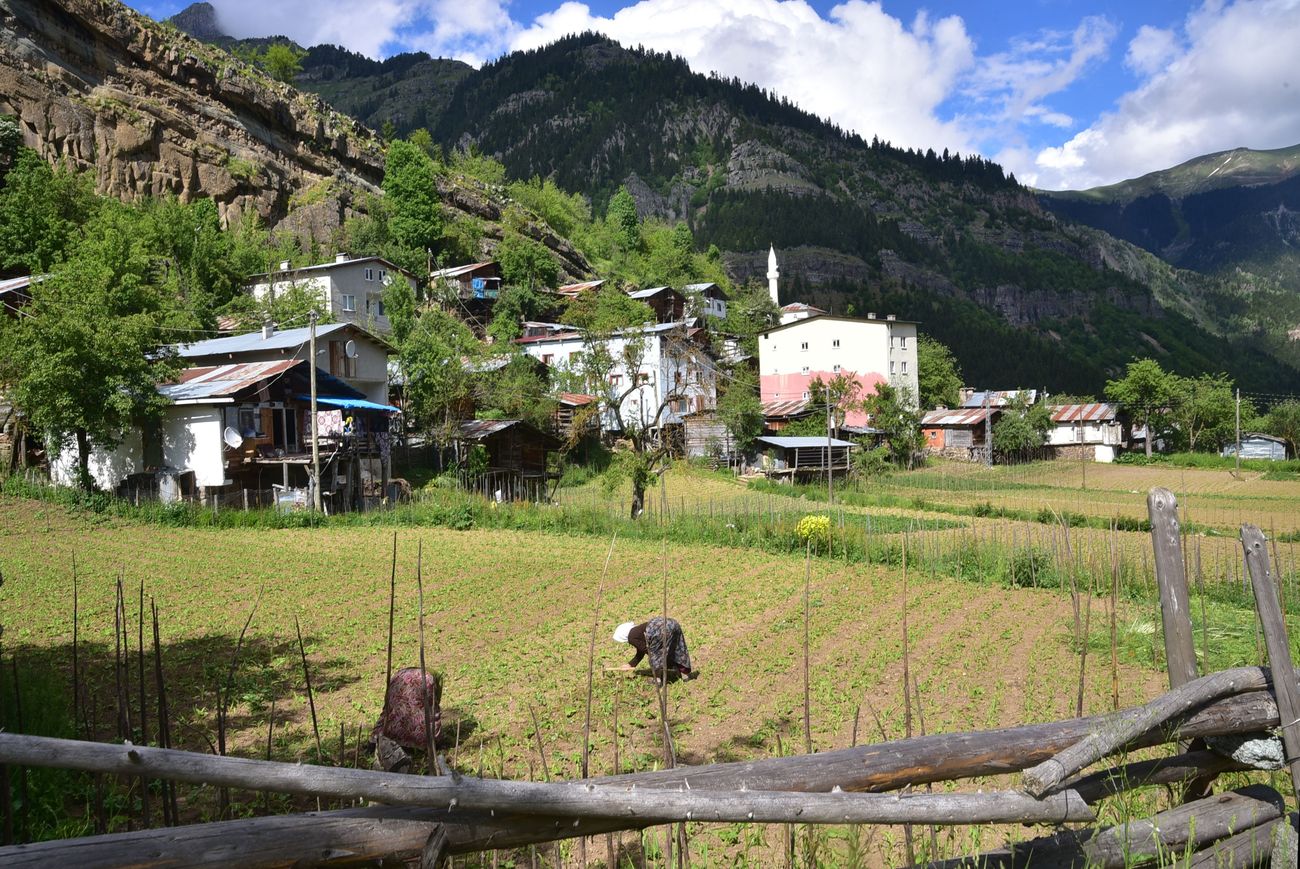 Кашикли, image of landscape/habitat.
