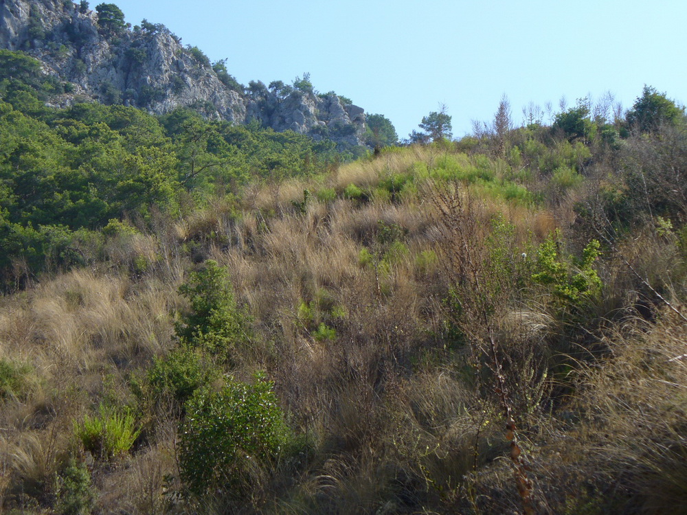Кириш и окрестности, image of landscape/habitat.