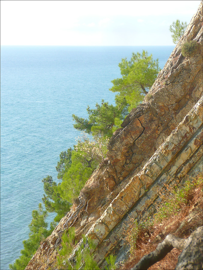 Джанхот, image of landscape/habitat.