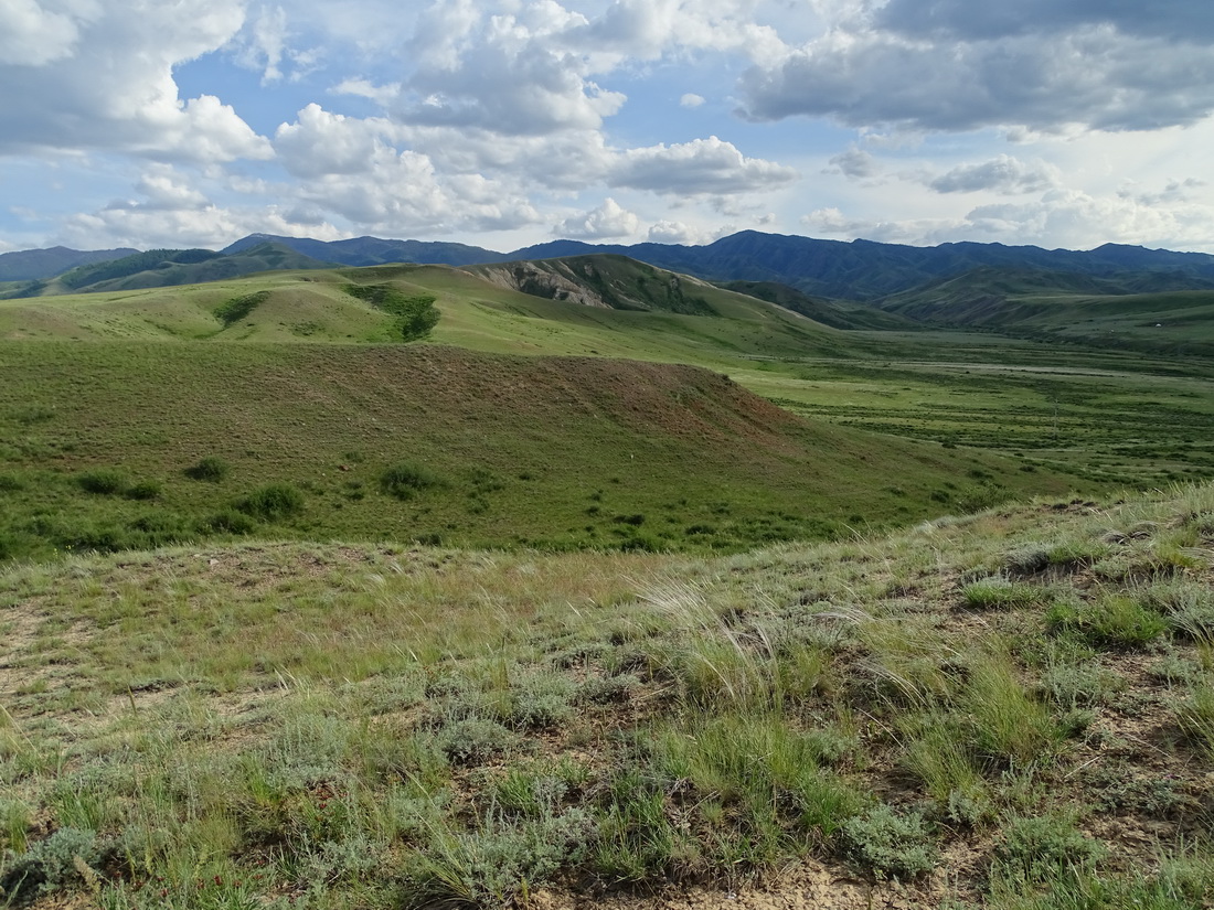 Калмакпай, image of landscape/habitat.