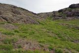 Image of landscape