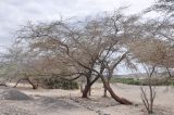 Landscape image